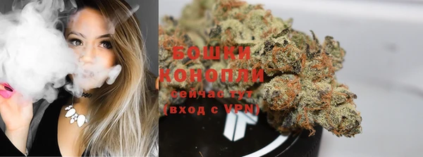индика Остров