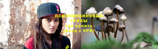 ALPHA PVP Нягань