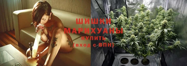 индика Остров