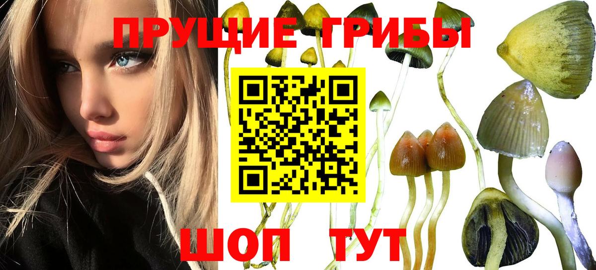Лабытнанги  Псилоцибиновые грибы мухоморы  Галлюциногенные грибы Psilocybine cubensis  Вход с VPN 